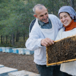 D64845C5-45CF-4EAB-9095-D1DD9963C652