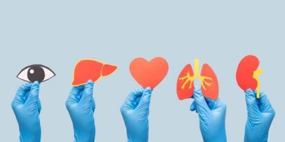 Organ bağışında dijital dönem: 143 bin 887 kişi vasiyetini oluşturdu